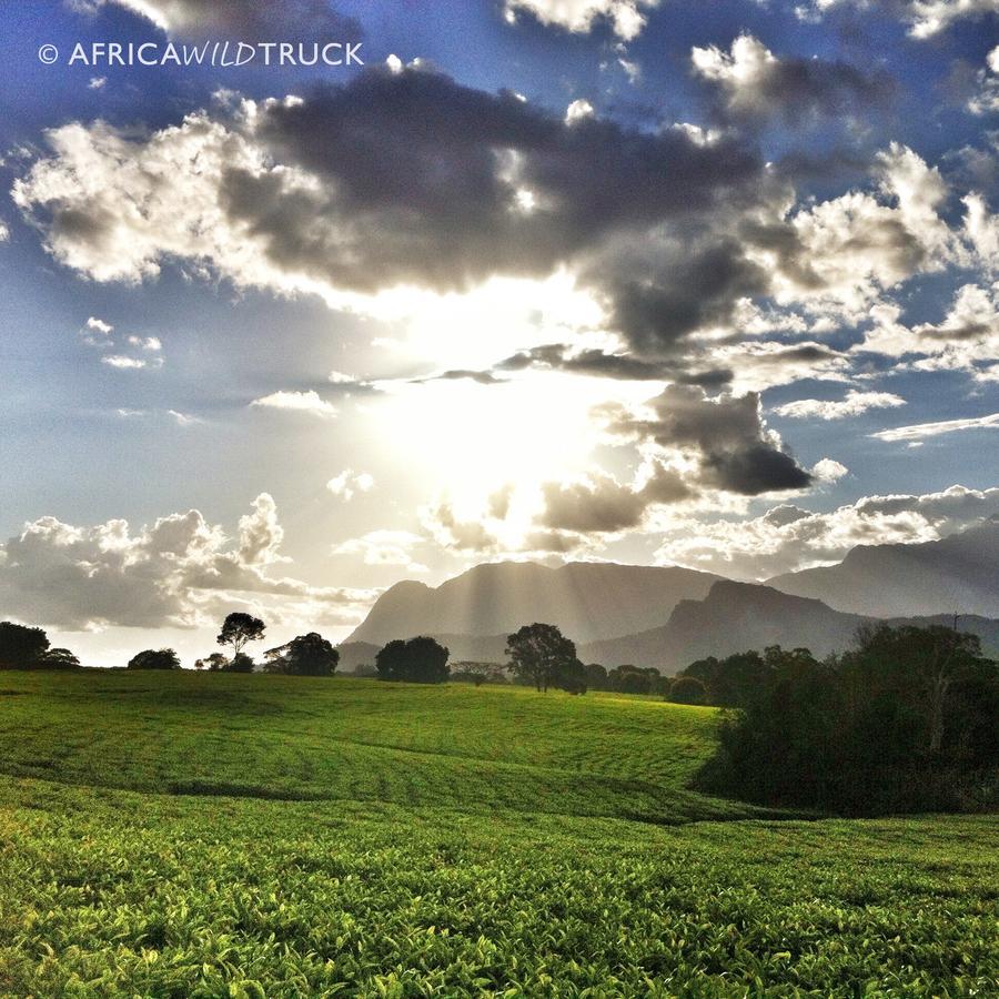 Africawildtruck Eco Camp & Lodge Mulanje Zewnętrze zdjęcie