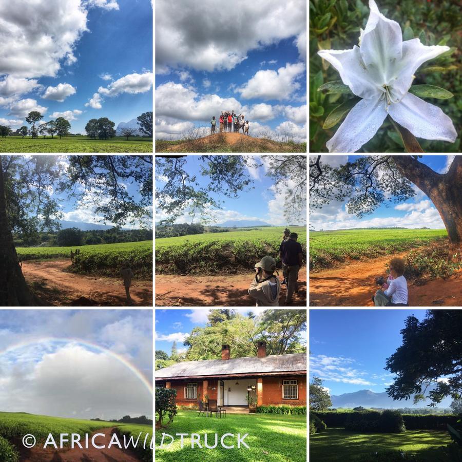 Africawildtruck Eco Camp & Lodge Mulanje Zewnętrze zdjęcie
